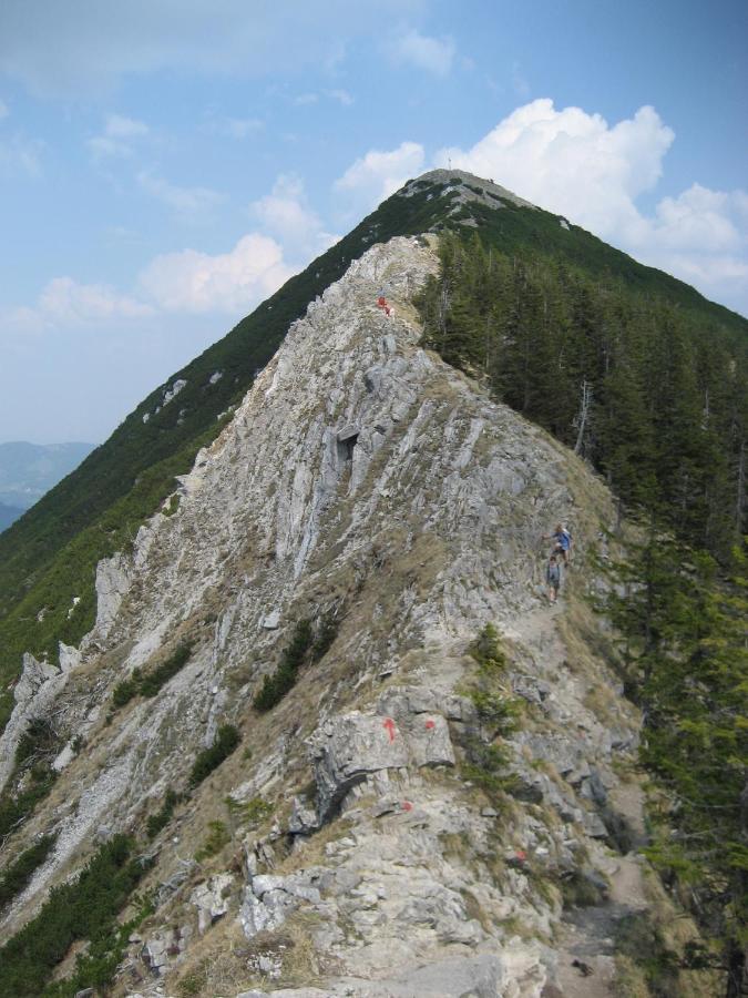 Blsv Sportcamp Direkt Am Kurvenlift Pansiyon Schliersee Dış mekan fotoğraf